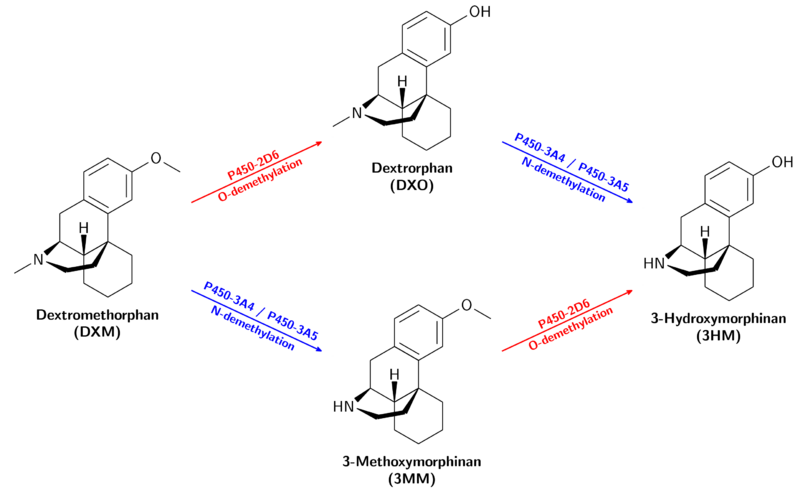 File:DXM-Metabolism.png