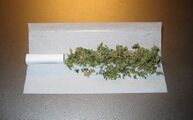 A joint/spliff prior to rolling with a paper handmade filter on the left.