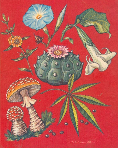 File:Biological sources.png