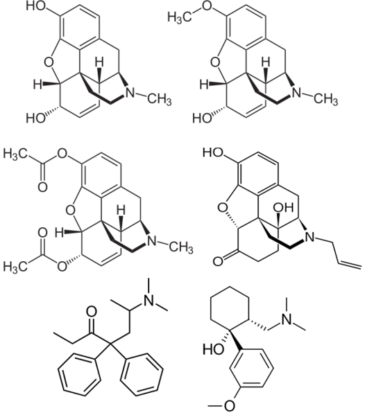 File:Opioids2.png