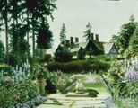 Garden painting by Anonymous