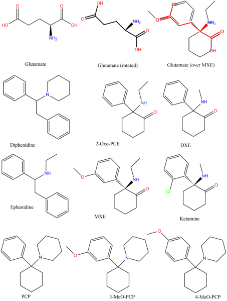 File:Dissociatives w - glutamate.png