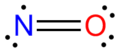 Nitric Oxide