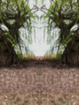 Thumbnail for version as of 18:31, 10 August 2025