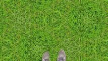 Grass on 2C-B by Infinity