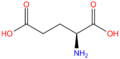 L-Glutamate