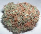 Whole flower and leaf is the most widely consumed form, containing 3% to 22% THC.[60][61]