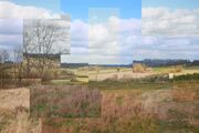 "Cubism Field" by Chelsea Morgan