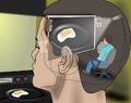 Thumbnail for version as of 18:44, 10 August 2025