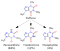 Thumbnail for version as of 18:40, 10 August 2025