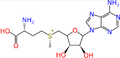 S-Adenosylmethionine