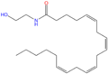 Anandamide