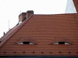 Squinting eyes on a roof top by Anonymous