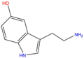 Serotonin (5-HT)