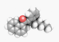 Thumbnail for version as of 18:36, 10 August 2025