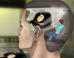 Perceiving the world through a screen.