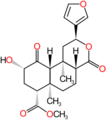 Thumbnail for version as of 18:51, 10 August 2025