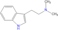 N,N-Dimethyltryptamine (DMT)
