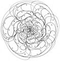 Thumbnail for version as of 18:47, 10 August 2025