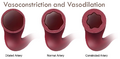 Thumbnail for version as of 18:47, 10 August 2025