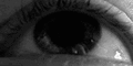 Thumbnail for version as of 18:54, 10 August 2025