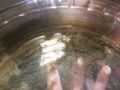 Thumbnail for version as of 18:40, 10 August 2025